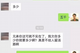 支付宝花呗委托第三方讨债：揭秘背后的风险与应对策略